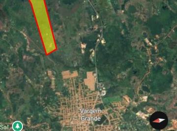 Rural , Vargem Grande · FAZENDA COM 200 HECTARES 