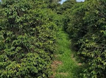 8fc7f5803a487193be1158f9ef8b6518.jpeg · Fazenda / Sítios / Chácaras à venda em Santana Da Vargem, no bairro Zona Rural