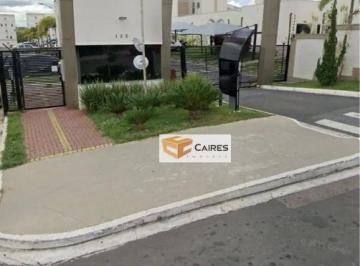 305aaf10fa886ba1ce50fabb4d1c730c0498ae72 · Apartamento com 2 dormitórios à venda, 41 m² por R$ 250.000,00 - Jardim Esmeraldina - Campinas/SP