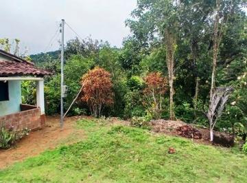 Rural de 2 quartos, Ubaíra · Fazendinha em Ubaíra - Bahia - 12 hectares - Pasto e Cacau
