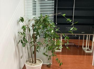 Comercial , São Paulo · sala venda 90m2 - Benjamin Constant