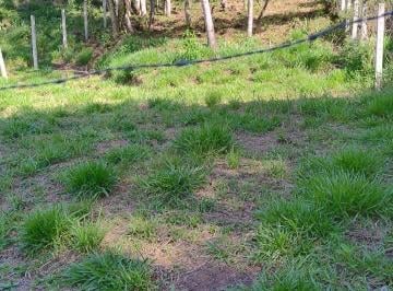 Terreno , Campo Magro · Imóvel para venda possui 328 metros quadrados em Centro - Campo Magro - PR
