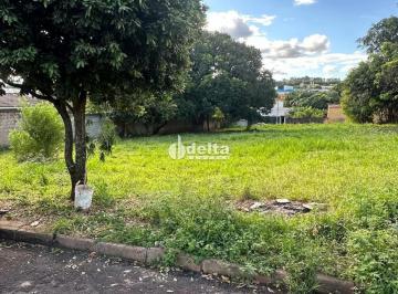 Comercial · 2400m² · Terreno disponível para venda 2.400 m² no bairro Maravilha em Uberlândia MG