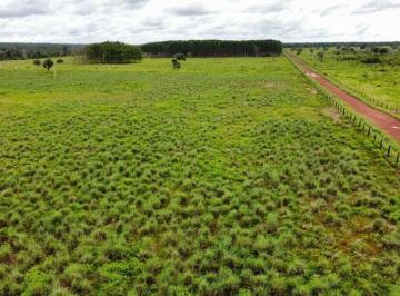 Rural · 76950000m² · FAZENDA NA REGIÃO DE FORMOSO DO ARAGUAIA-TO!