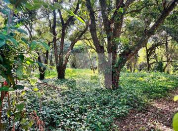 72436b0c3c64eba47bfa6bf10a1fb22b16f488c1 · Terreno à venda, 343 m² por R$ 343.000,00 - Parque Jatibaia (Sousas) - Campinas/SP