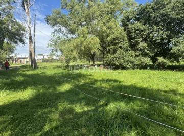 IMG_3461.jpeg · Terreno, 8240 m², em Picada