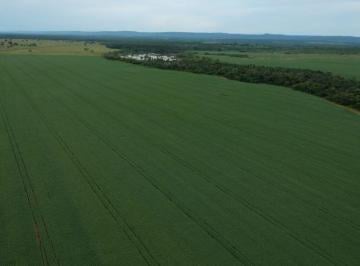 Rural , Nobres · FAZENDA COM 464 HECTARES NA REGIÃO NOBRES-MT