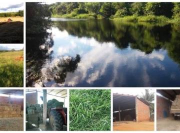 fazenda-com-5-quartos-2350000m-a-venda-em-morro-do-chapeu-38-1133096.jpeg · Fazenda com 5 quartos, 2350000m², à venda em Morro do Chapéu