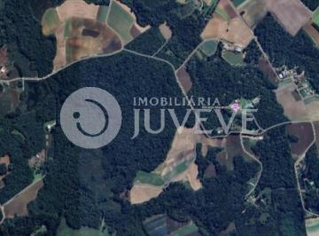 16954510200.jpg · IMOBILIARIA JUVEVE VENDE TERRENO MATA FECHADA SAO JOSE DOS PINHAIS CAMPO LARGO DA ROSEIRA RUA DOMING
