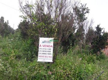 imovel_7090_64460.jpg · Imoveis - na Zona Rural