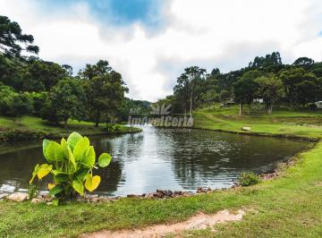 Rural · 73000m² · 8 Quartos · Chácara com 3 Belas Casas, e 3 belos lagos com 8,5