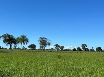 Rural , Iaciara · Fazenda a 3km de Iaciara-GO, com 1.433 hectares, PLANA.