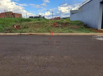 Notice: Undefined offset: 7 in /home/vivalisto/htdocs/vivalisto.com.br/src/flity/www2/__imovelweb.php on line 551 · Vendo Terreno 250 m, no Loteamento Conquista Piracicaba