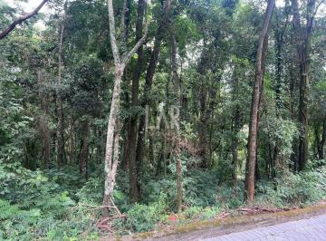 Terreno · 2679m² · Lote em Condomínio à venda, Retiro do Chalé - Brumadinho/MG