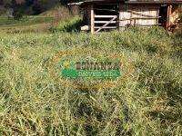 imovel_14790_135935.jpg · Imoveis - na Zona Rural