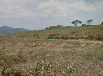 imovel_13028_118895.jpg · Imoveis - na Vila Brasil
