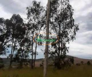 imovel_12452_113021.jpg · Imoveis - na Zona Rural