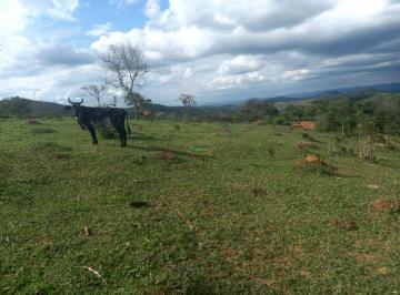 imovel_11653_105278.jpg · Excelente fazenda em Claudio - MG!