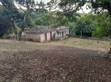 imovel_17915_174171.jpg · Ótima Fazenda à Venda em São Tiago - MG