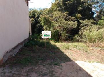 imovel_8431_74862.jpg · Imoveis - em Congonhas