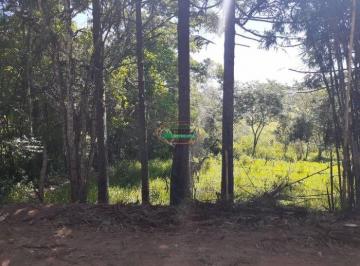 imovel_15007_138318.jpg · Imoveis - em São Brás do Suaçuí