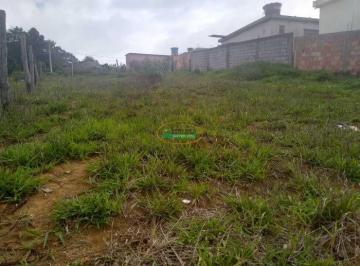 imovel_13597_123992.jpg · Imoveis - em São José