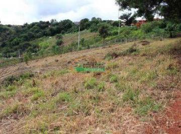 imovel_15015_138388.jpg · Imoveis - em São Brás do Suaçuí