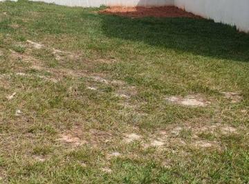 0c8d84a1fb86d368cf40a29ab7aaaaa7dd200d5f · Terreno a venda no Parque Ibiti Reserva em Sorocaba/ sp