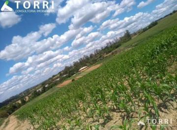 1542c19e21d3161659df39c56054029435f6ef46 · Sítio Rural à venda, Porto Feliz - Capivari, Porto Feliz - SI0190.