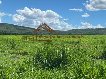 Rural , Quirinópolis · Fazenda à venda em Quirinópolis-GO