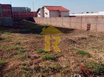 Foto 03 · Oportunidade Única: Terreno à Venda em Cedral-SP, Bairro Avenida Parque Cedral, 321,40m² de Área
