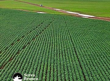 Rural , Araguaína · Fazenda no Tocantins - Região Norte