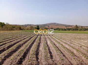 Vendo Sítio no Povoado Cajaiba - Itabaiana/SE · Vendo Sítio no Povoado Cajaiba - Itabaiana/SE