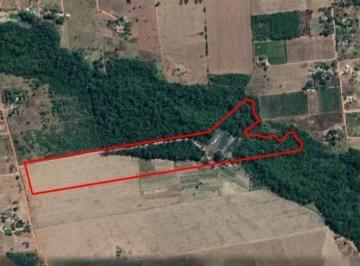 Terreno · 130000m² · Terreno à venda - no Centro