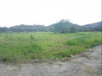 1112114530.jpg · Terreno