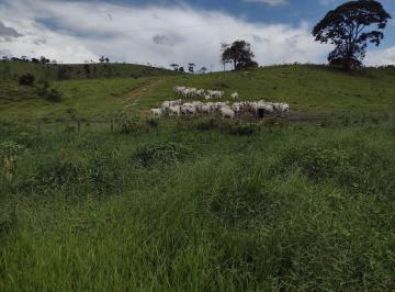 Rural · 498ha · 5 Quartos · OPORTUNIDADE. Fazenda com 5 dormitórios à venda, 4985200 m² por  Rural - Guaratinguetá/SP