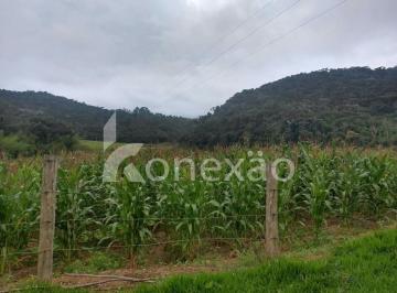 Rural · 90m² · 1 Quarto · Propriedade rural de 60 alqueires com 300.000 pés de eucalipto prontos para corte e 22 km de margem