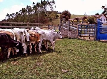 Rural · 90m² · 4 Quartos · 5 Vagas · Sítio de 21,780 hectares, totalmente tratorável em Lagoinha/SP.
