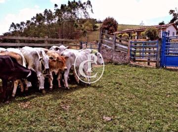 Rural · 90m² · 4 Quartos · 5 Vagas · Sítio de 21,780 hectares, totalmente tratorável em Lagoinha/SP.