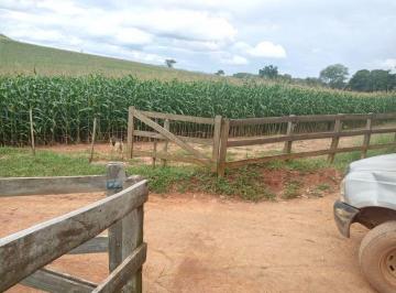 Rural · 100m² · 4 Quartos · Fazenda com 111,320 hectares, topografia média plana em Cunha/SP.
