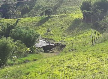 Rural · 300m² · 3 Quartos · Sítio de 25 Alqueires à Venda-Centro Taubaté/SP