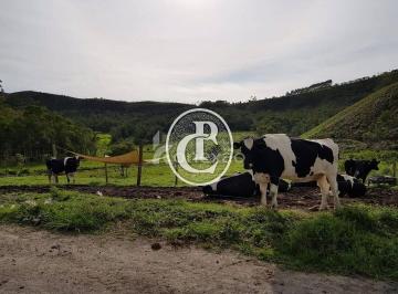 Rural · 90m² · 4 Quartos · Fazenda de 58 hectares com belíssimo lago e espaço para confinamento em  São Luiz do Paraitinga, SP.