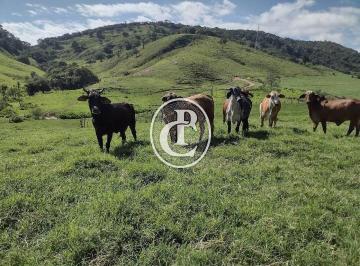 Rural · 100m² · 2 Quartos · Fazenda com 1.936.000 m² e infraestrutura completa em Itamonte/MG.