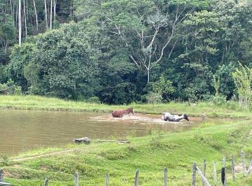 Rural · 90m² · 3 Quartos · Sítio com 19,5 hectares e 4 lagos em  Cunha - SP