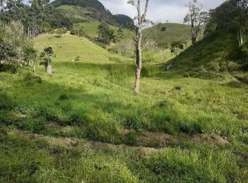 Rural · 100m² · 2 Quartos · 5 Vagas · Sítio com 2 dormitórios à venda, 50000 m² - Paraibuna/SP