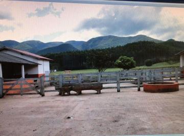 Rural · 100m² · 4 Quartos · Fazenda de 96,8 hectares com curral completo e luxuosa casa sede em  Lagoinha, SP.