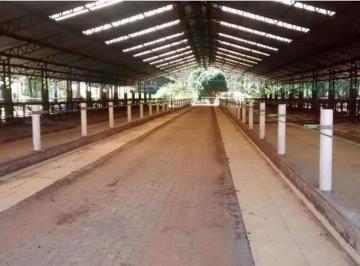 Rural · 500m² · 4 Quartos · 10 Vagas · Fazenda 314 Hectares com Estrutura para Pecuária de Leite e Corte em Cunha/SP