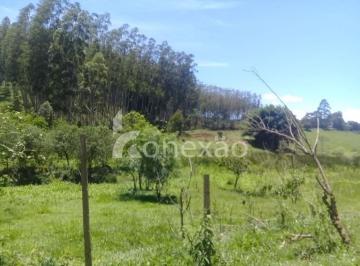 Rural · 200m² · 4 Quartos · 5 Vagas · Fazenda pra gado de corte