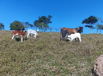 Rural · 20m² · Terreno de 20 m² em Jambeiro: Vista Maravilhosa e Oportunidade Imperdível!