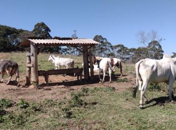 Rural · 100m² · 1 Quarto · 5 Vagas · Fazenda de 254,1 Hectares com Abundância de Água e Piquetes em Lagoinha/SP